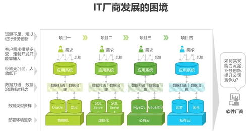 报告 2021年中国企业级无代码开发白皮书